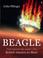 Cover of: Beagle