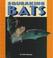 Cover of: Squeaking bats