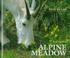 Cover of: Alpine meadow