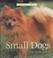 Cover of: Small dogs