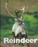 Cover of: Reindeer