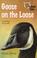 Cover of: Goose on the loose