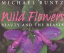 Cover of: Beauty and the beasts: the hidden world of wildflowers