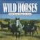 Cover of: Wild horses