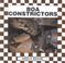 Cover of: Boa constrictors
