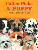 Cover of: Calico picks a puppy by Phyllis Limbacher Tildes