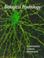 Cover of: Biological psychology