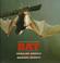 Cover of: Bat