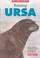 Cover of: Raising Ursa