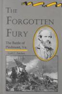 Cover of: The forgotten fury by Scott C. Patchan