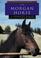 Cover of: The Morgan horse