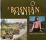 Cover of: A Bosnian family