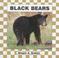 Cover of: Black bears