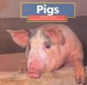 Cover of: Pigs by Brady, Peter