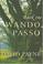 Cover of: Wando Passo