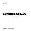 Cover of: Gunther Gerzso by Rita Eder