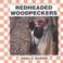 Cover of: Red-headed woodpeckers