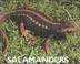 Cover of: Salamanders