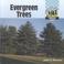 Cover of: Evergreen trees