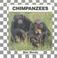 Cover of: Chimpanzees