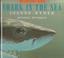 Cover of: Shark in the sea