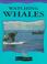 Cover of: Watching whales