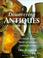 Cover of: Discovering antiques