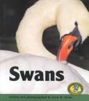 Swans