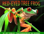 Red-eyed tree frog by Joy Cowley