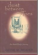 Cover of: Dust between my toes: an Amish boy's journey