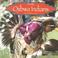 Cover of: The Ojibwa Indians