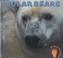 Cover of: Polar bears