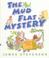 Cover of: The Mud Flat mystery