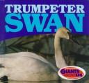 Trumpeter swan