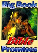 Cover of: Big book of Bible promises