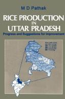 Cover of: Rice production in Uttar Pradesh: progress and suggestions for improvement