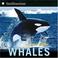 Cover of: Whales