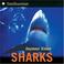 Cover of: Sharks