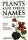 Cover of: Plants and their names : a concise dictionary