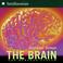 Cover of: The Brain