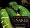 Cover of: Outside and inside snakes