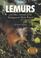 Cover of: Lemurs and other animals of the Madagascar rain forest