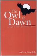 Cover of: owl at dawn: a sequel to Hegel's Phenomenology of spirit