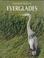 Cover of: Everglades