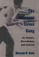 Cover of: The American street gang: its nature, prevalence, and control