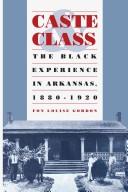 Cover of: Caste & class: the black experience in Arkansas, 1880-1920