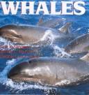 Cover of: Whales by Erik D. Stoops