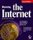 Cover of: Mastering the Internet