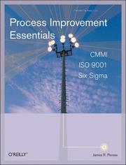 Cover of: Process Improvement Essentials by James Persse