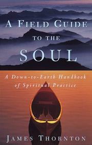 Cover of: A field guide to the soul: a down-to-earth handbook of spiritual practice